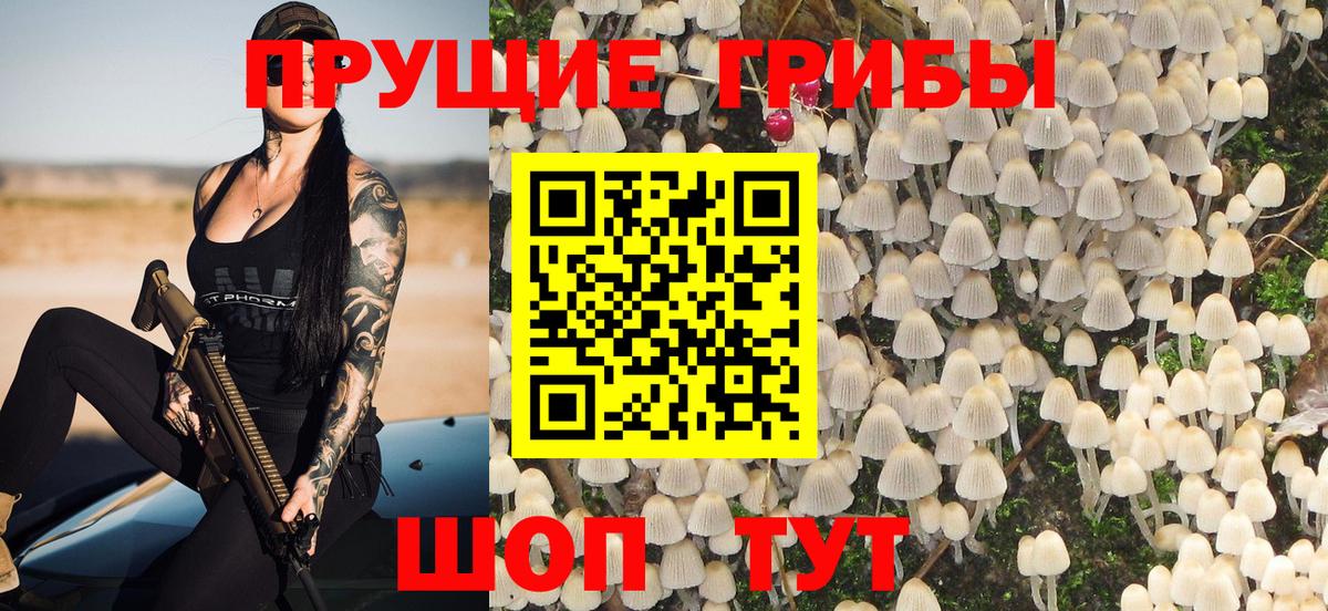 Галлюциногенные грибы GOLDEN TEACHER  Вход с VPN  Богородск  Галлюциногенные грибы MAGIC MUSHROOMS 